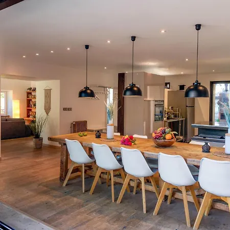 Huisdiervriendelijk In Vakantiehuis
